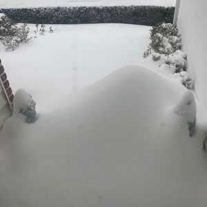 Meet your Posher, Ellen